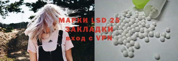 шишки Алексин