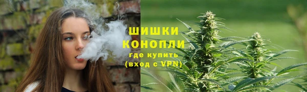 шишки Алексин
