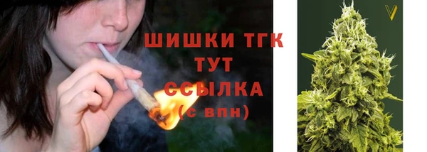 шишки Алексин