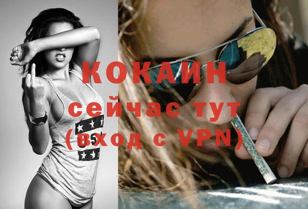 мяу мяу мука Арсеньев