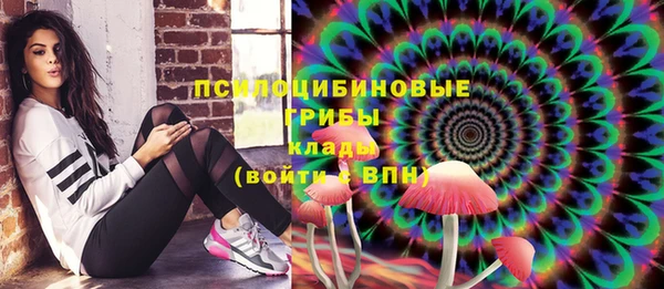соль курить ск Алзамай