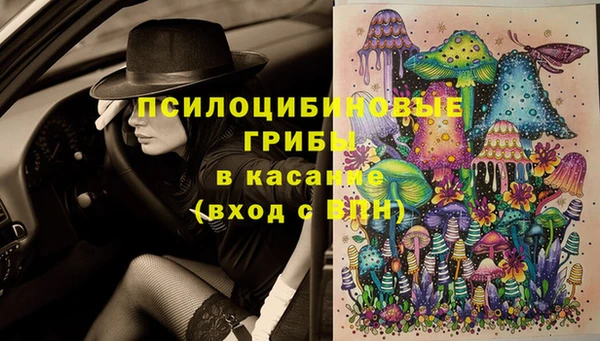 соль курить ск Алзамай