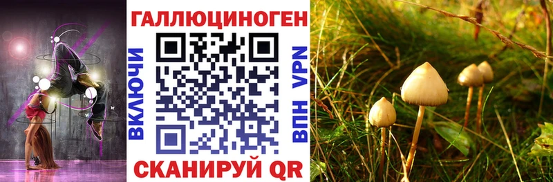 Псилоцибиновые грибы Magic Shrooms  Баймак 